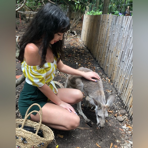 Hm shorts / classy shorts/ high waist shorts - Picture 4 of 7